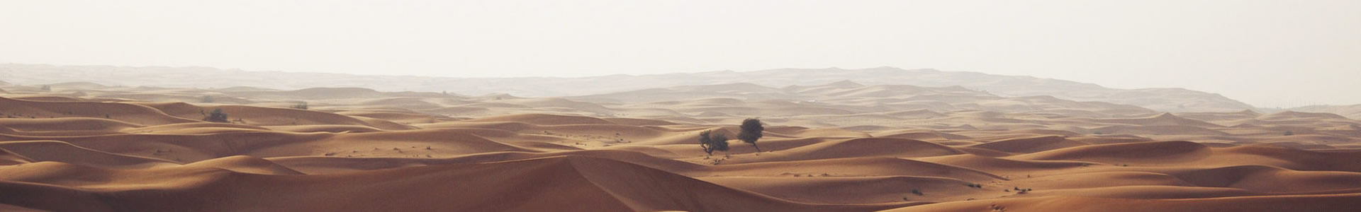 ˳Ƽ޹˾